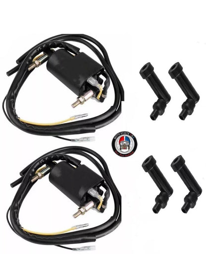 Ignition Coils Set (2) for Yamaha YZF600R (1997-2007)