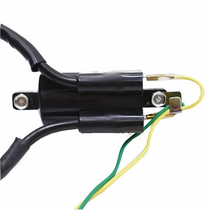 Ignition Coils Set (2) for Yamaha YZF600R (1997-2007)